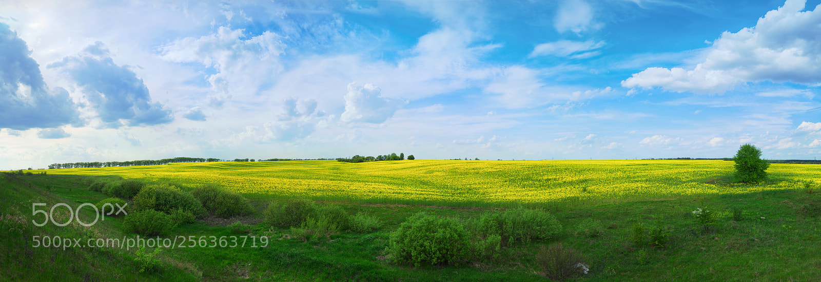 Nikon D800E sample photo. Vastness photography