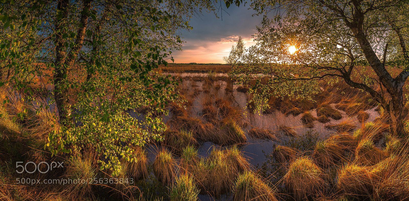Canon EOS 6D sample photo. Sunset wierdense veld photography