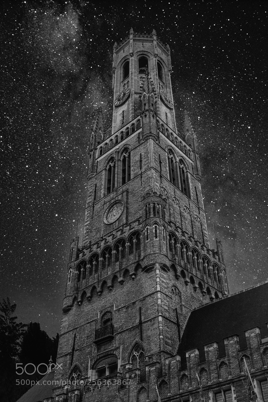 Canon EOS 550D (EOS Rebel T2i / EOS Kiss X4) sample photo. Starrynight b&w photography