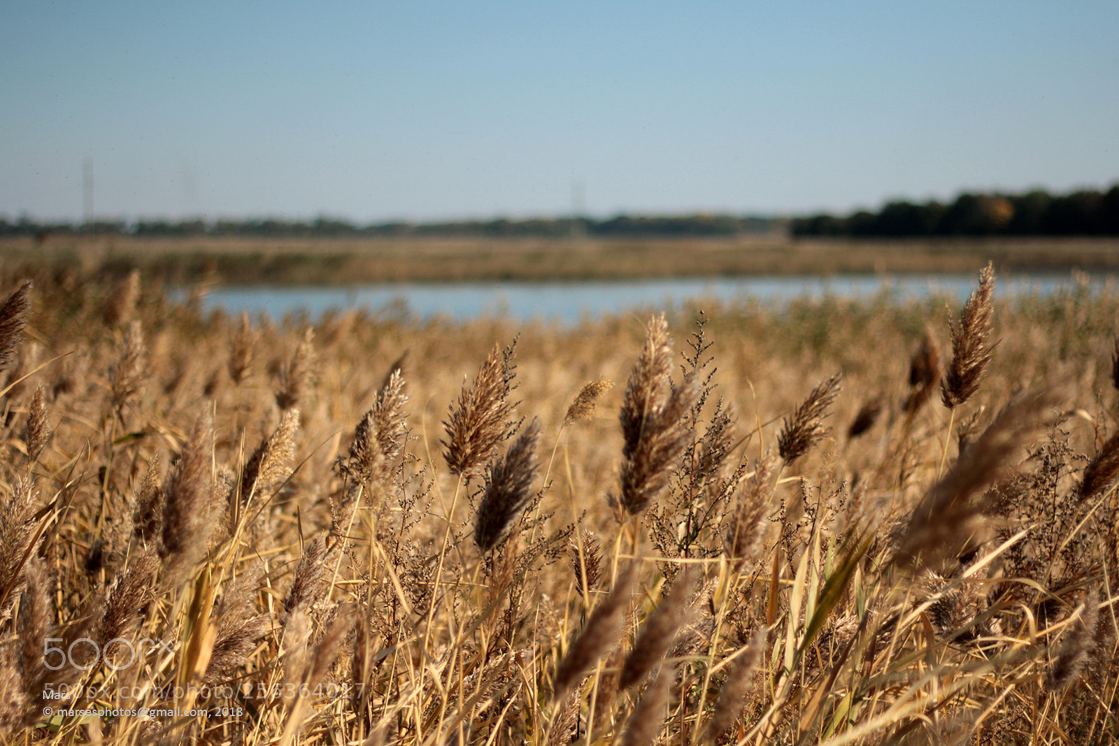 Canon EOS 60D sample photo. Near the river, ukraine photography