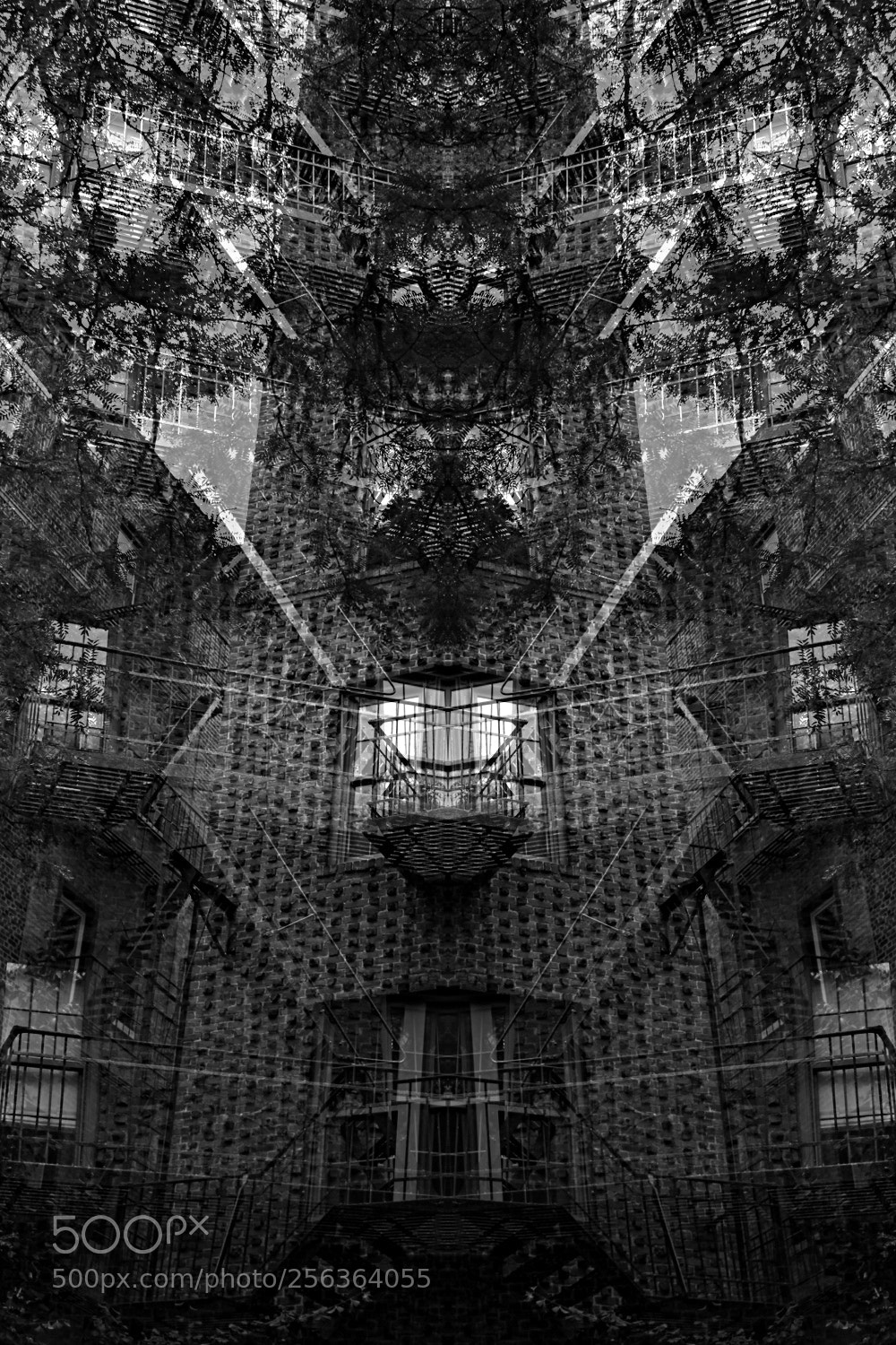 Canon EOS 100D (EOS Rebel SL1 / EOS Kiss X7) sample photo. Mirrored fire escape photography