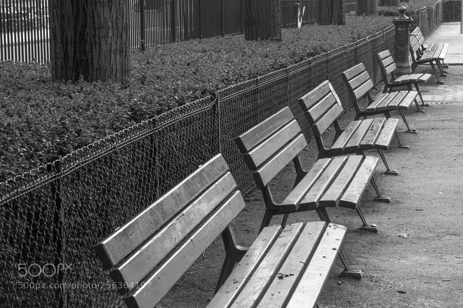 Canon EOS 7D Mark II sample photo. Paris photography