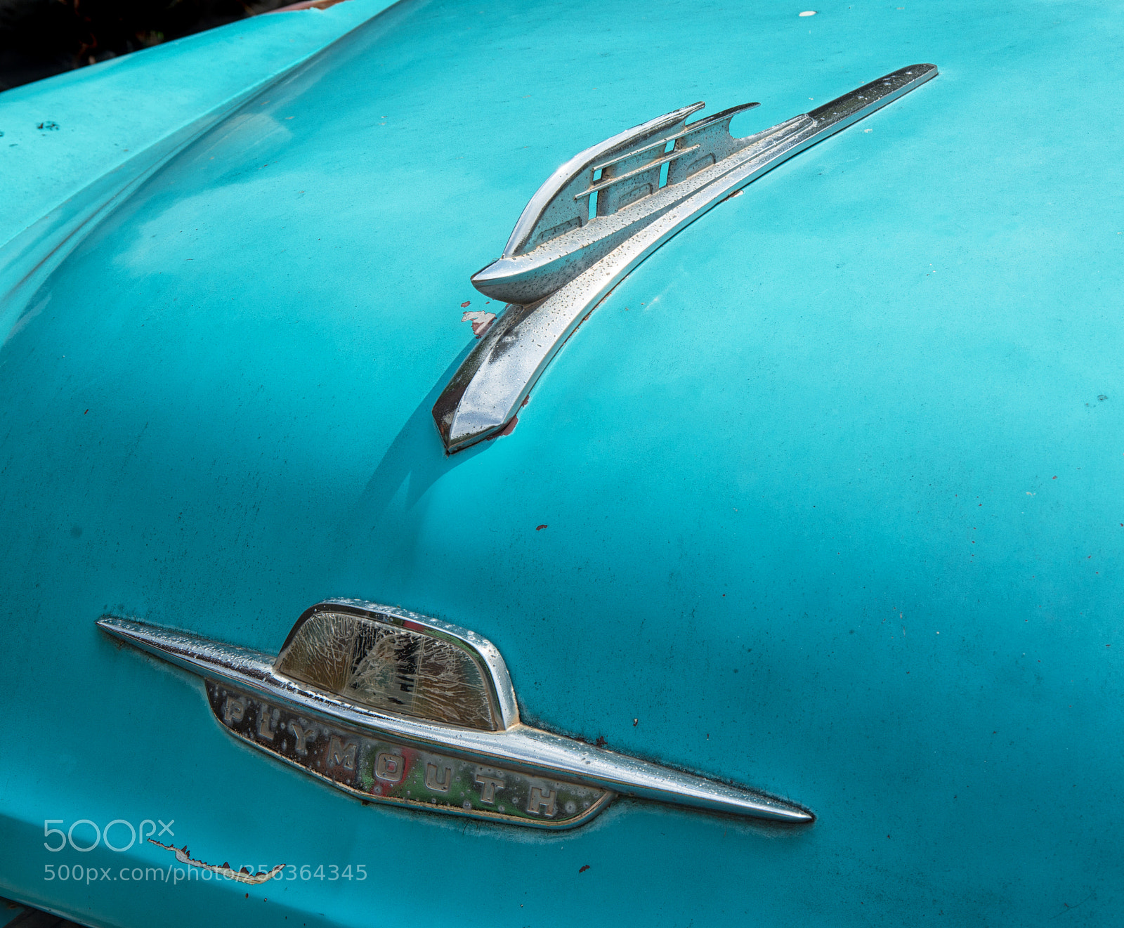 Pentax K-30 sample photo. Plymouth blues photography