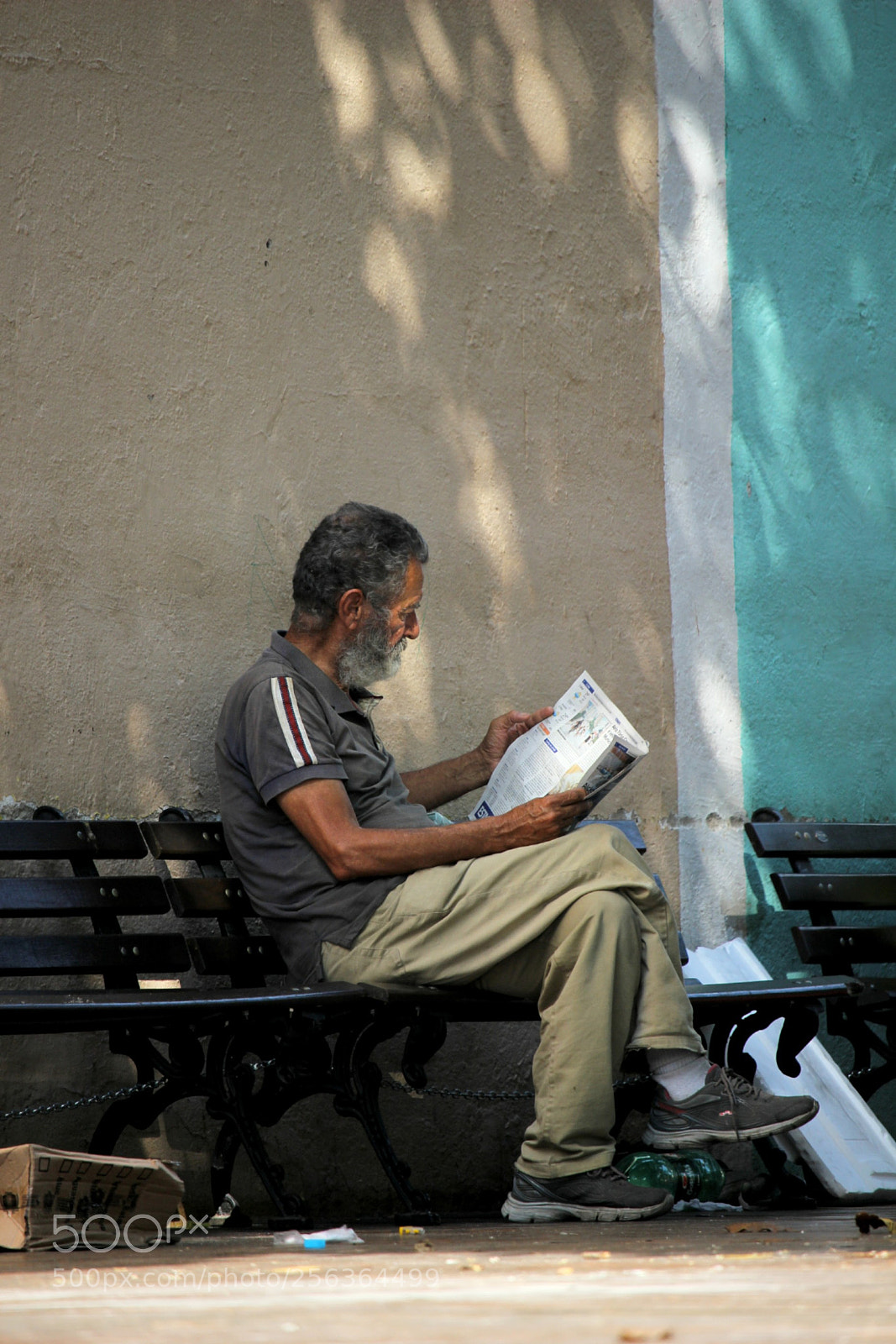 Canon EOS 600D (Rebel EOS T3i / EOS Kiss X5) sample photo. Leitura photography