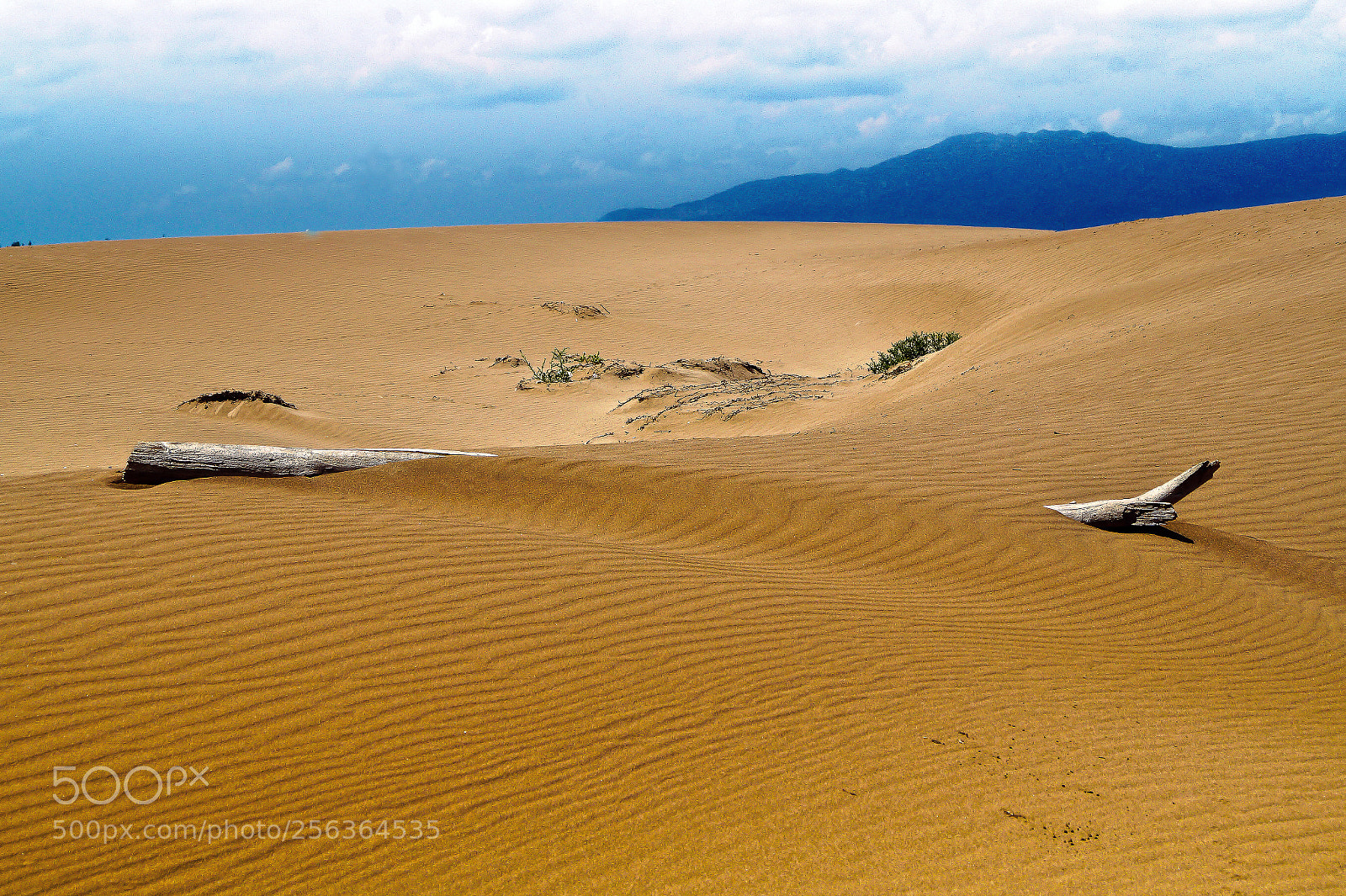 Sony SLT-A58 sample photo. Desierto photography