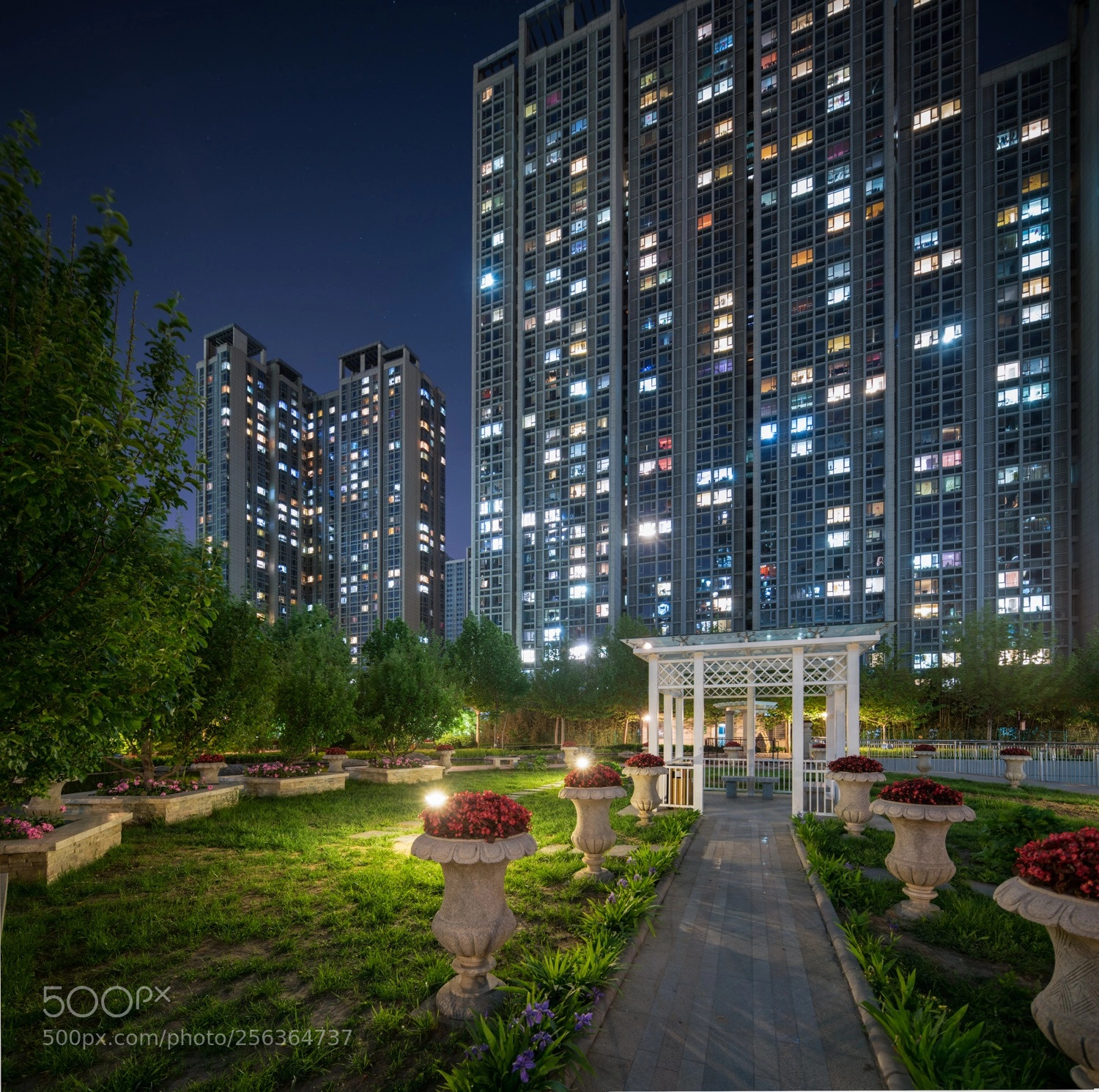 Sony a7R II sample photo. Untitled photography
