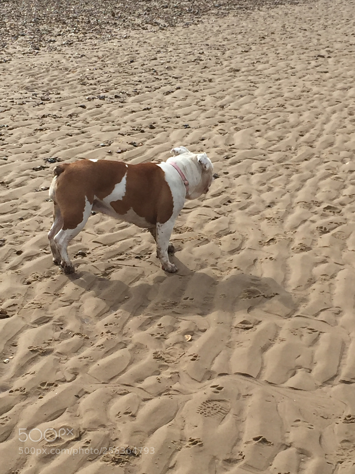 Apple iPhone 6 sample photo. Wells next-the-sea, norfolk photography