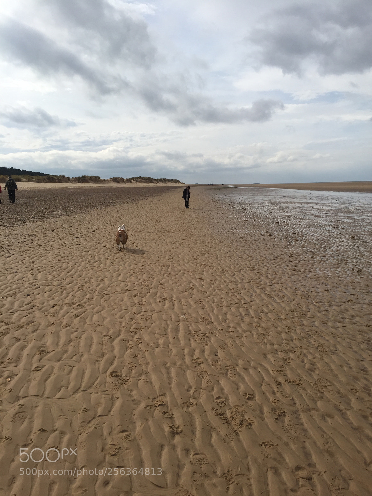 Apple iPhone 6 sample photo. Wells next-the-sea, norfolk photography