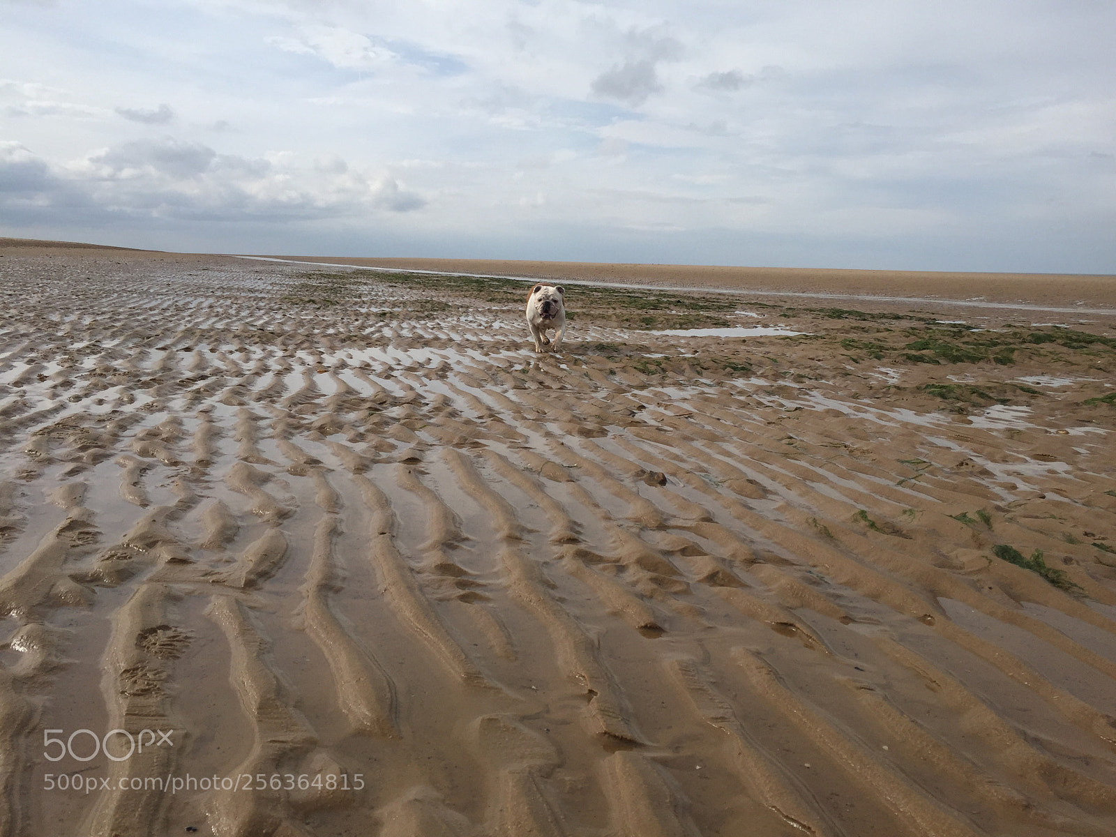 Apple iPhone 6 sample photo. Wells next-the-sea, norfolk photography