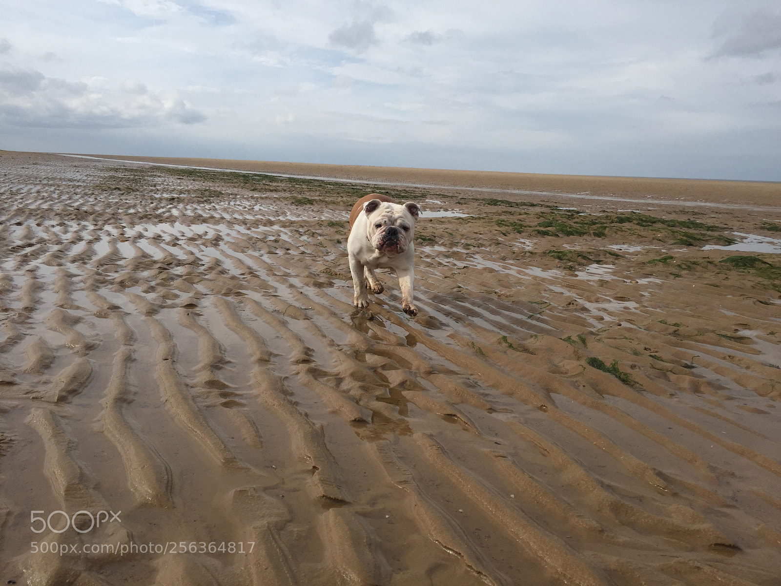 Apple iPhone 6 sample photo. Wells next-the-sea, norfolk photography