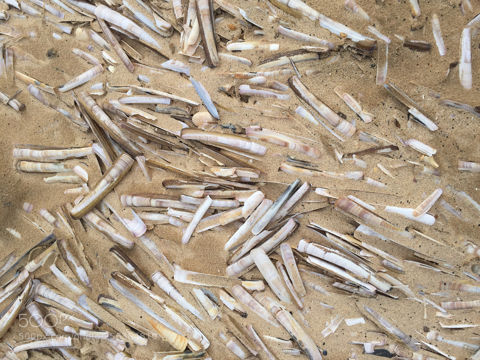 Apple iPhone 6 sample photo. Wells next-the-sea, norfolk photography