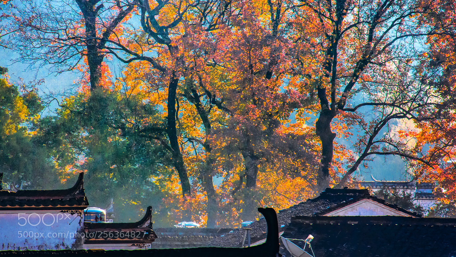 Canon EOS 60D sample photo. Untitled photography