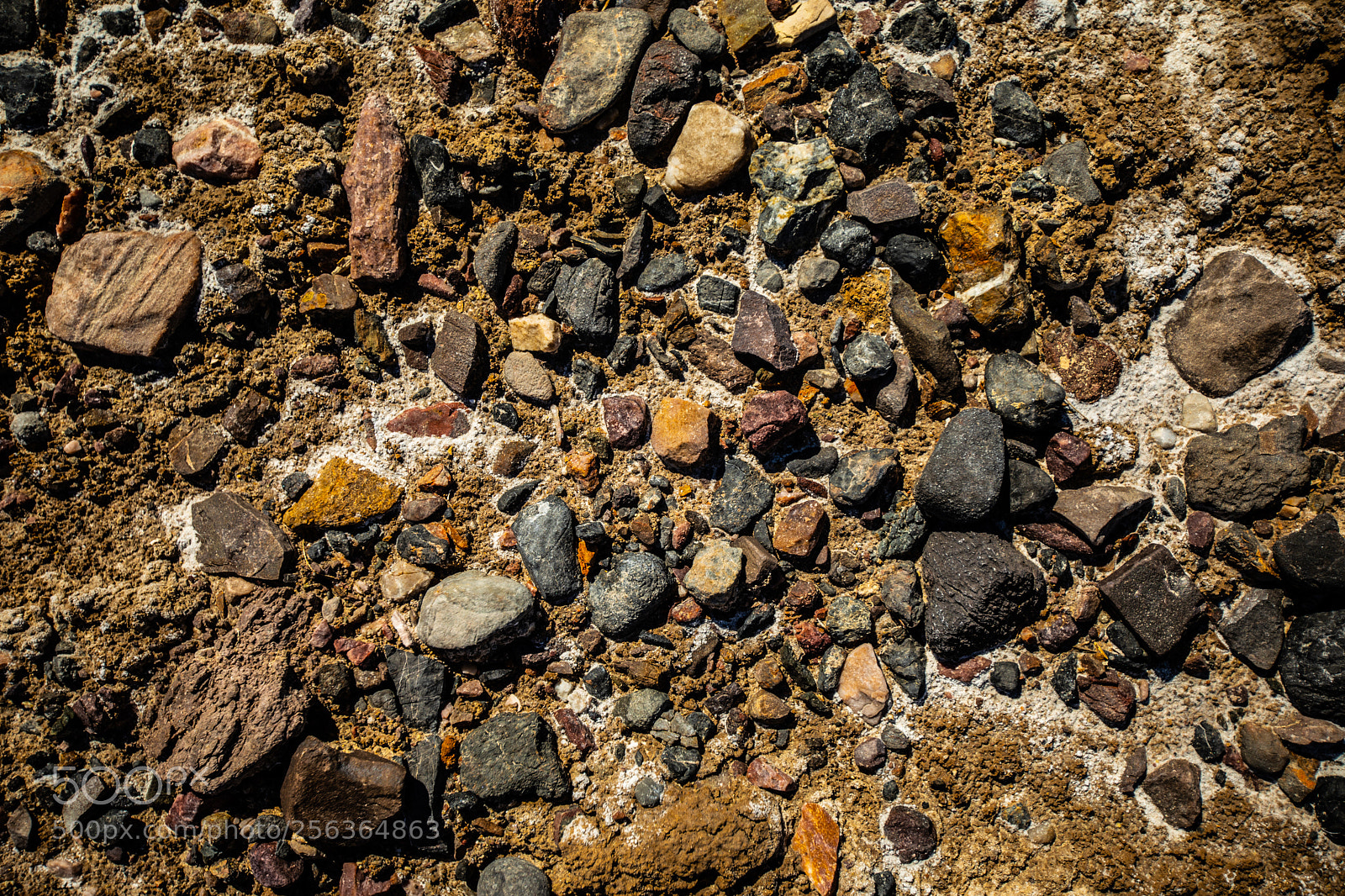 Canon EOS 5D Mark IV sample photo. Harmony borax works dvd2 photography