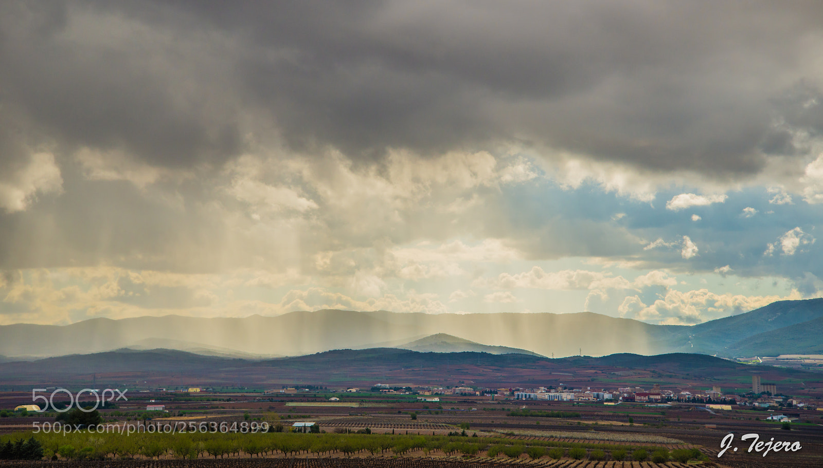 Nikon D610 sample photo. Rain photography