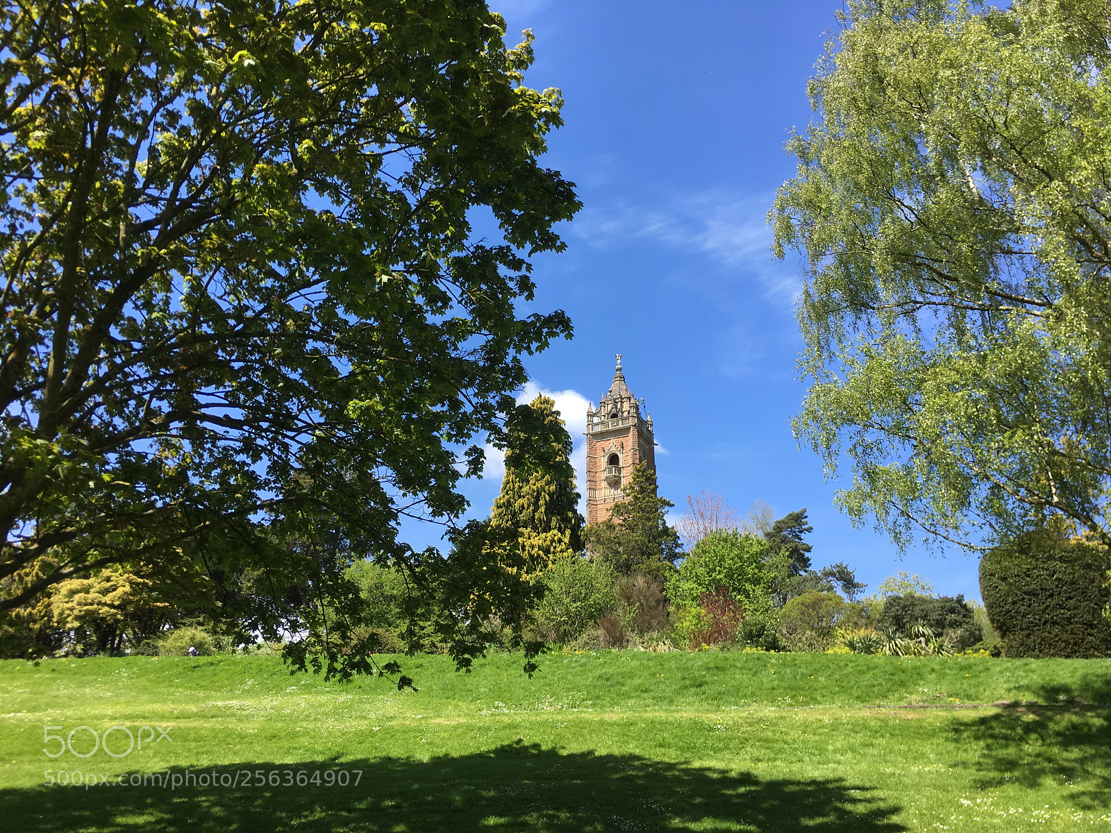 Apple iPhone 6s Plus sample photo. Sunshine in the park. photography