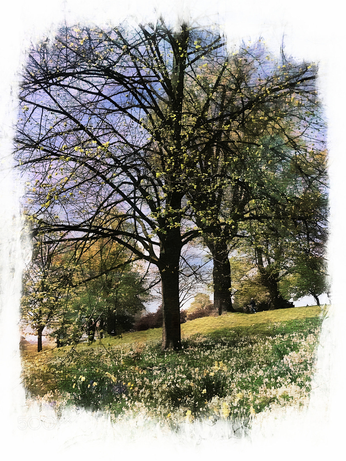 Apple iPhone 6s Plus sample photo. Sunshine in the park. photography