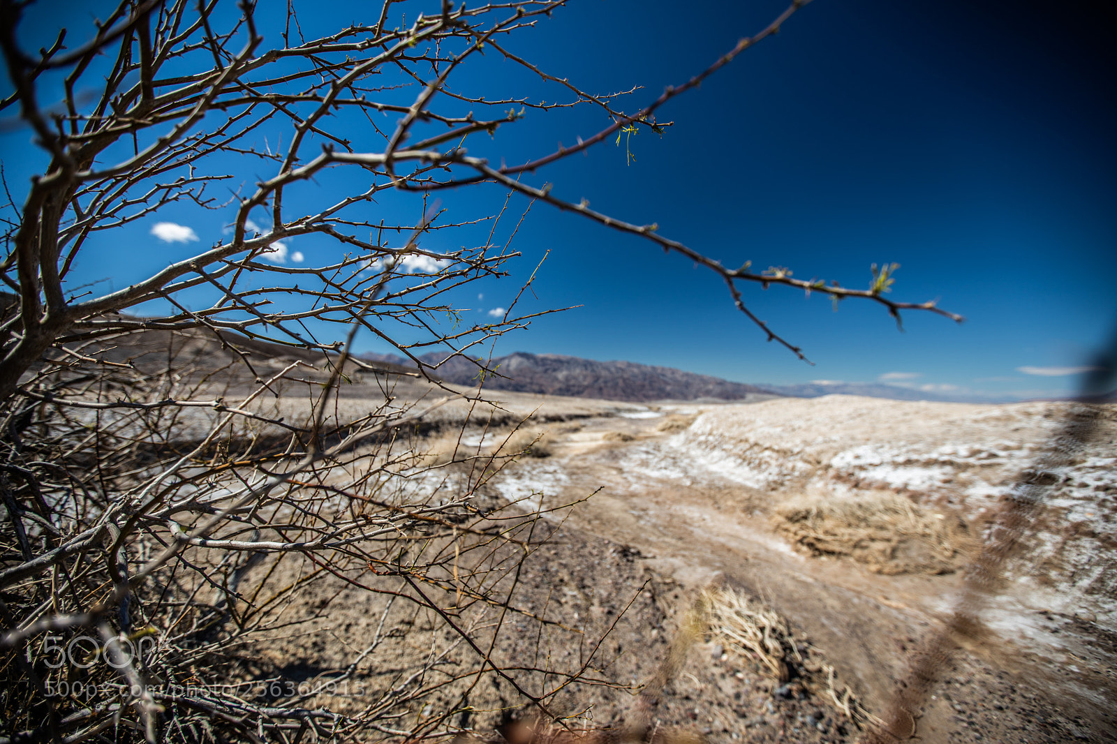 Canon EOS 5D Mark IV sample photo. Harmony borax works dvd2 photography