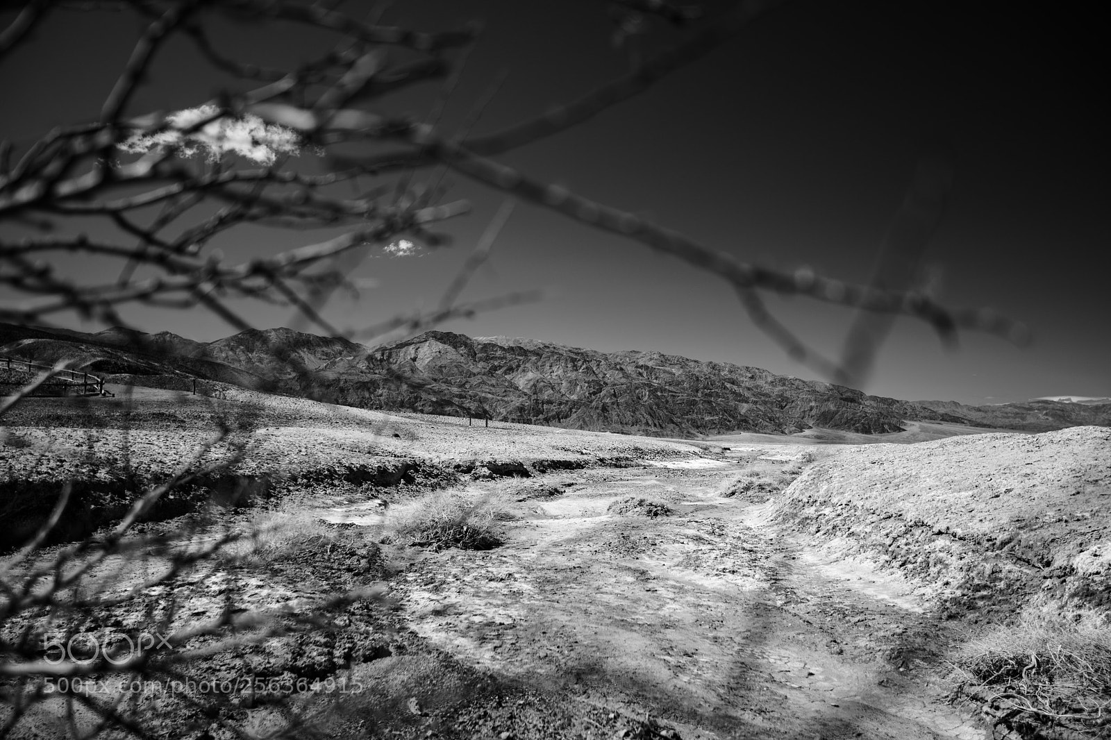 Canon EOS 5D Mark IV sample photo. Harmony borax works dvd2 photography