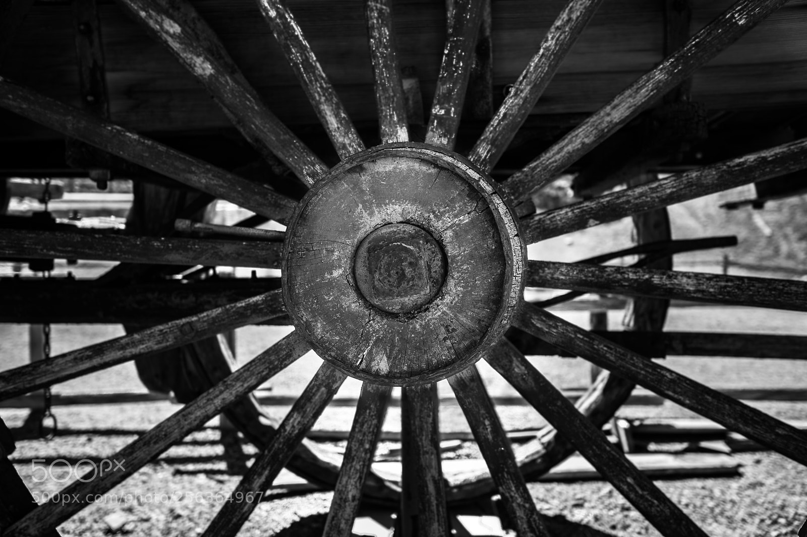 Canon EOS 5D Mark IV sample photo. Harmony borax works dvd2 photography