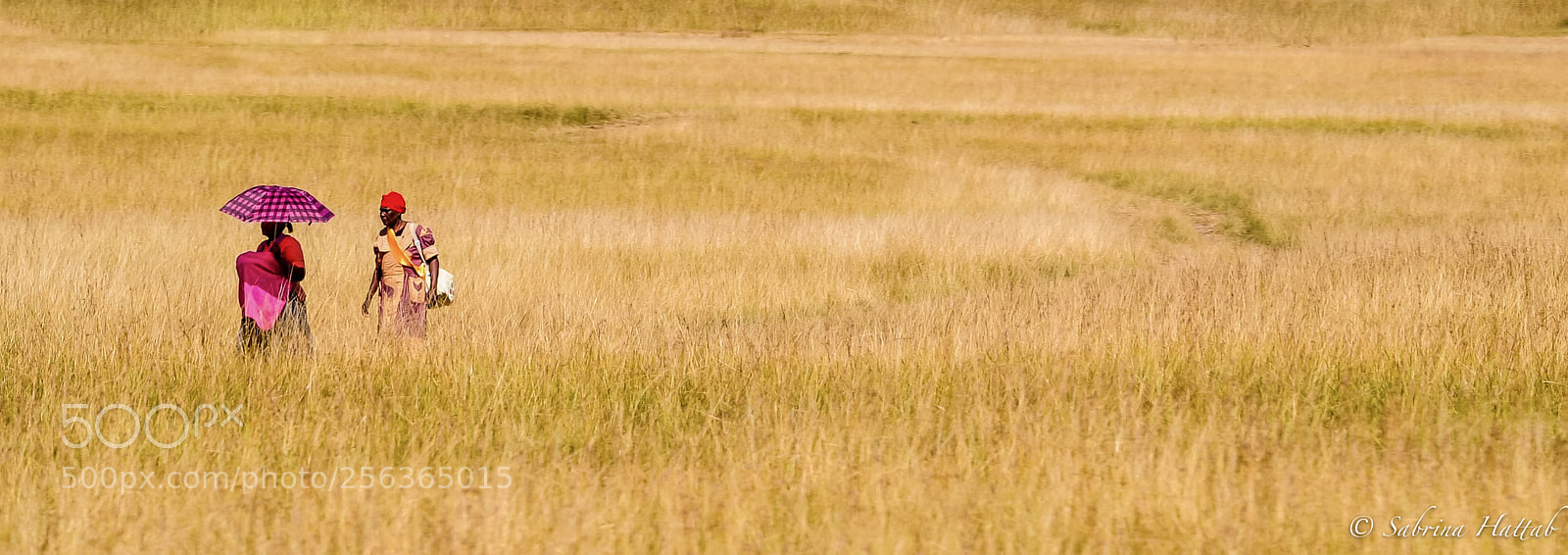 Nikon D5000 sample photo. Rural africa photography