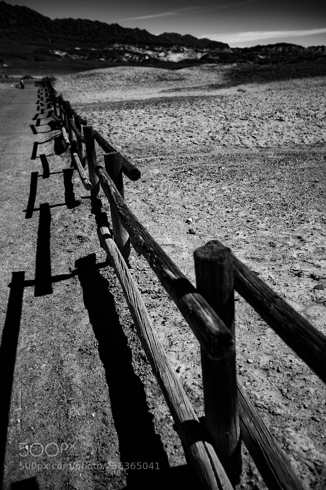 Canon EOS 5D Mark IV sample photo. Harmony borax works dvd2 photography