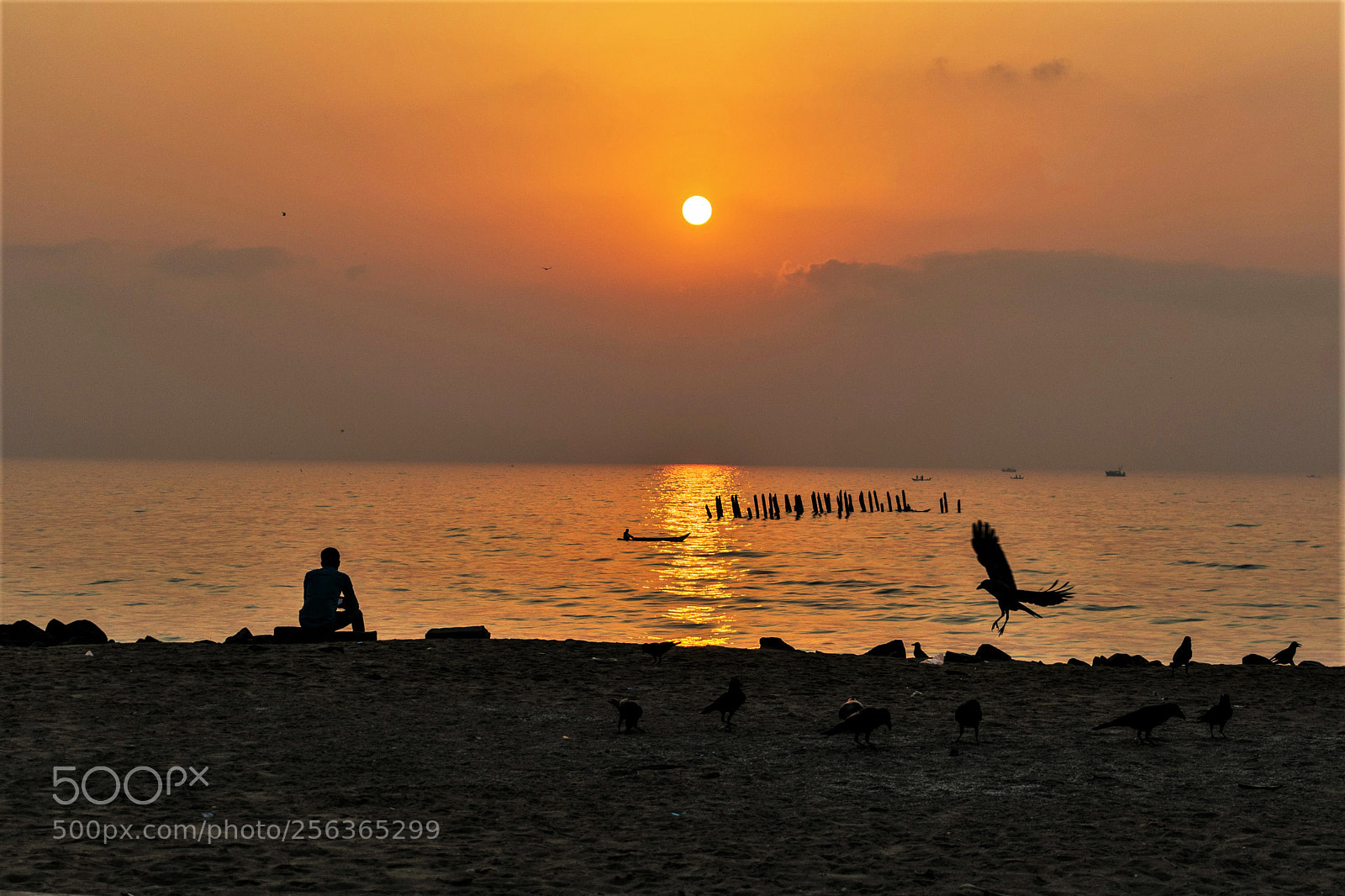 Nikon D3400 sample photo. Sun kissed photography