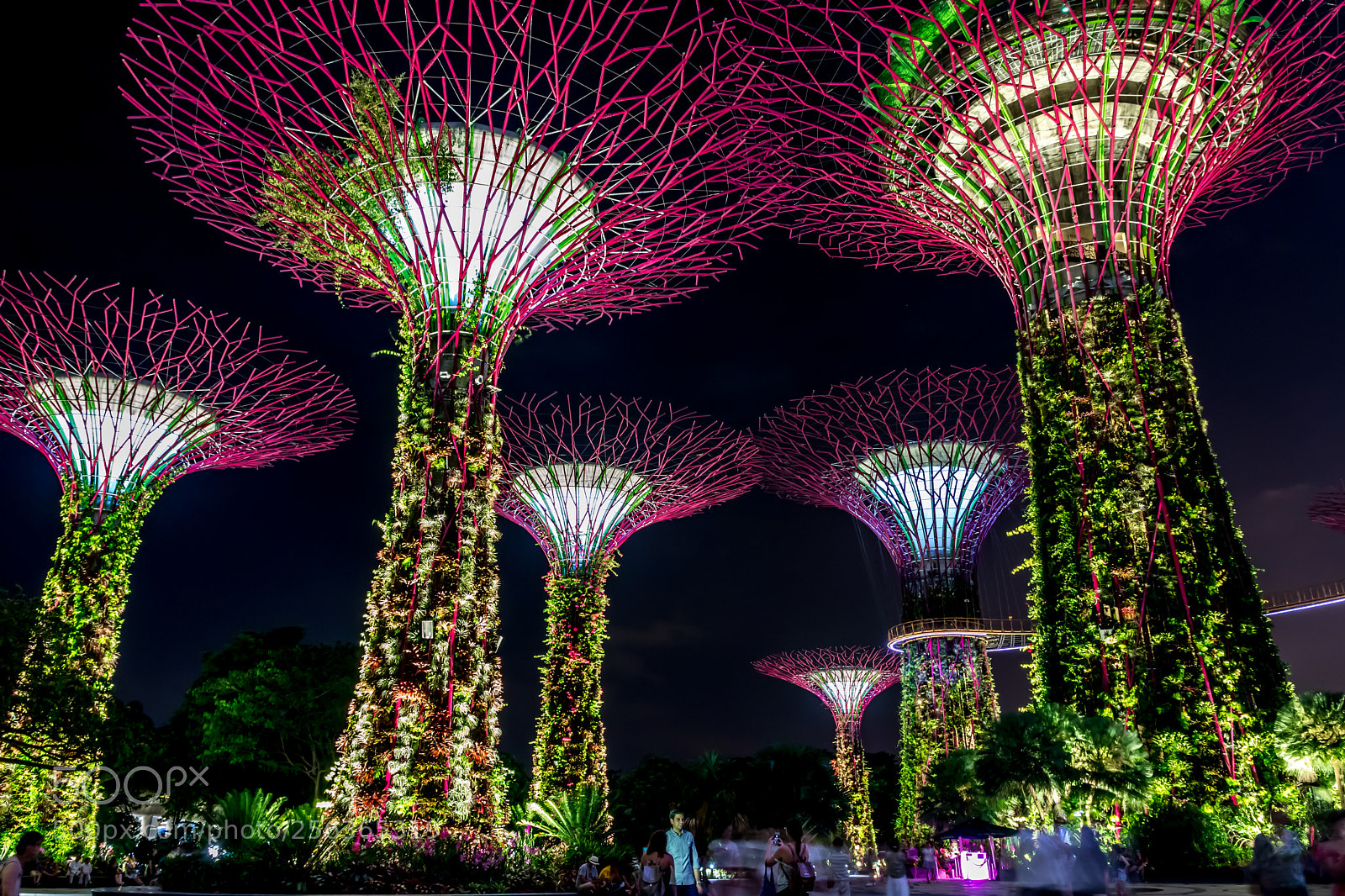 Canon EOS 750D (EOS Rebel T6i / EOS Kiss X8i) sample photo. Supertree grove at gardens photography