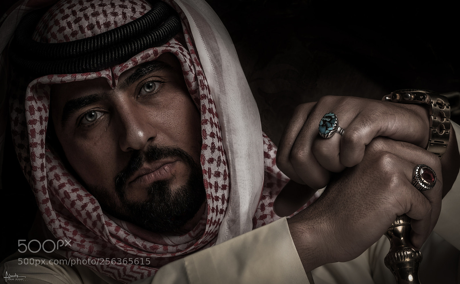 Nikon D750 sample photo. Arab knight photography