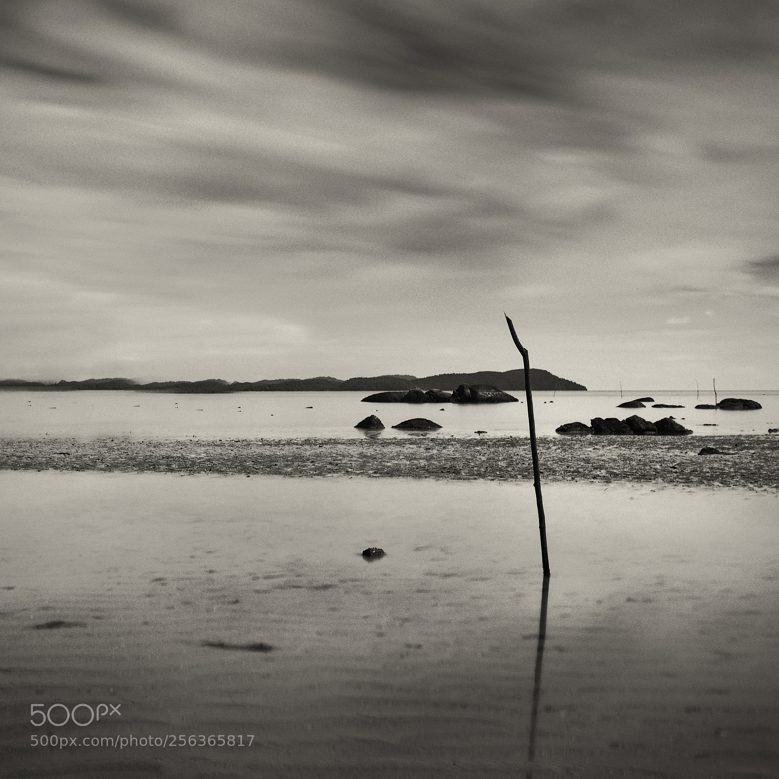 Nikon D610 sample photo. Dead calm photography