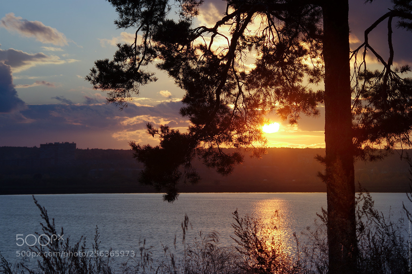 Pentax K-3 II sample photo. Izhevsk pond photography