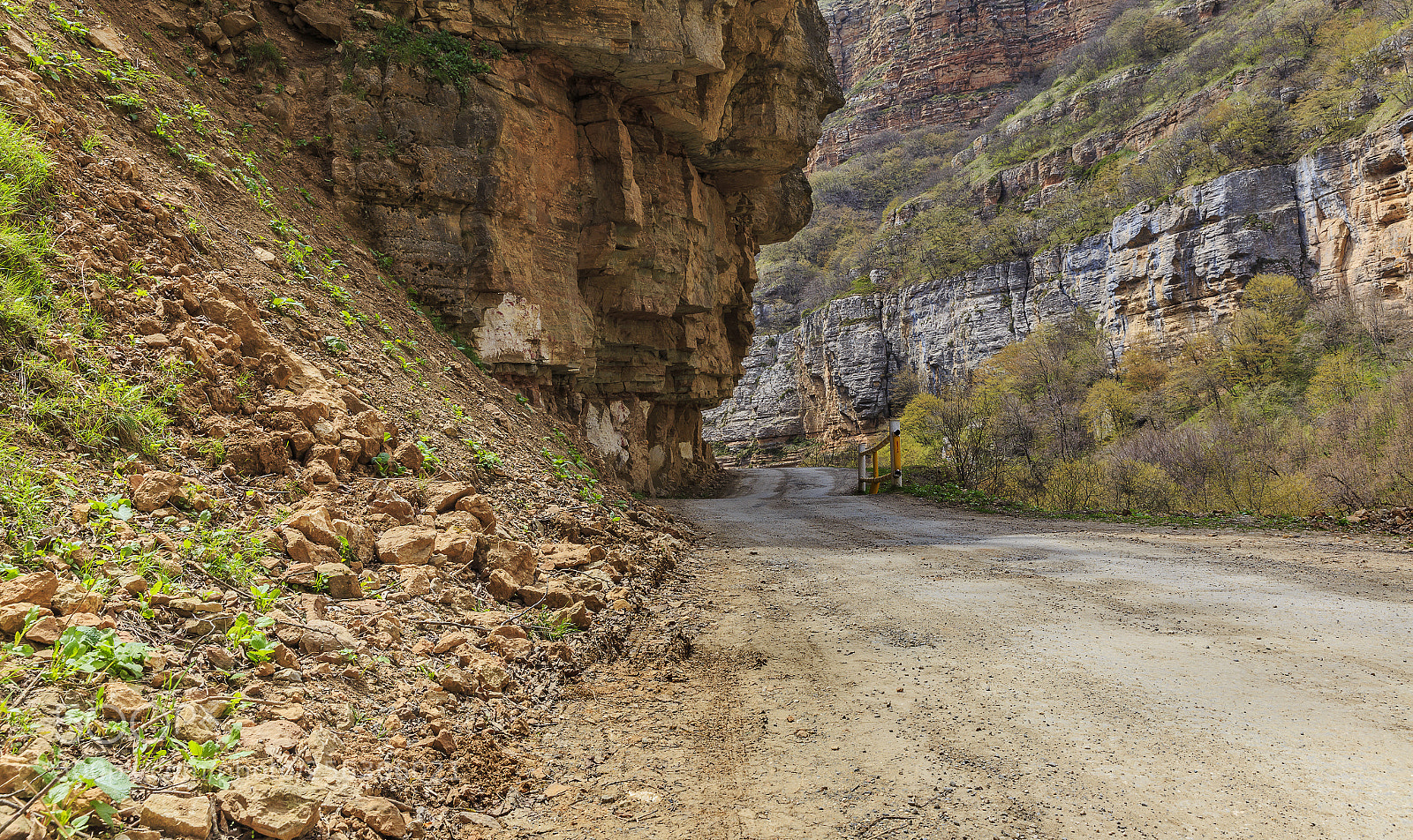 Canon EOS 6D sample photo. The road through the photography
