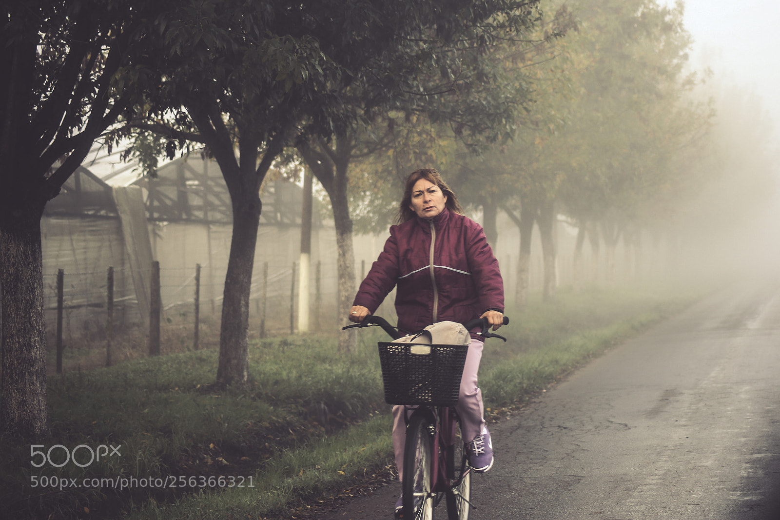 Canon EOS 6D sample photo. Foggy photography