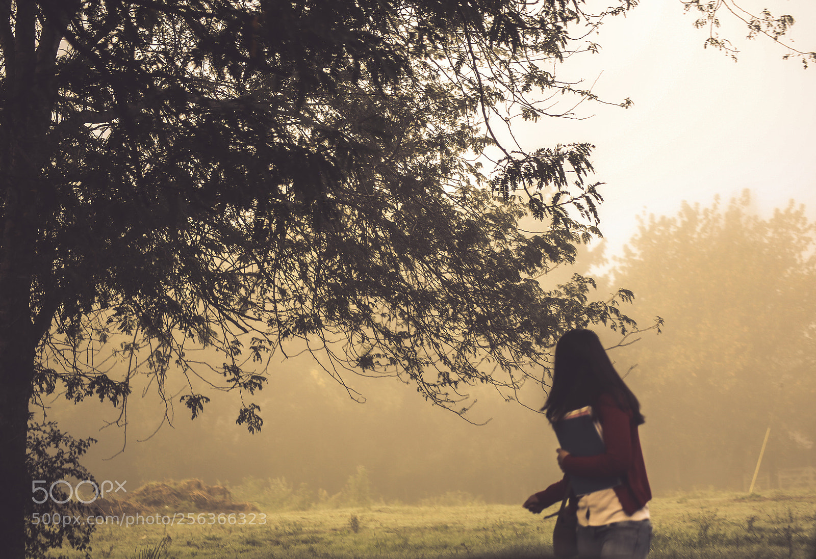 Canon EOS 6D sample photo. Foggy photography
