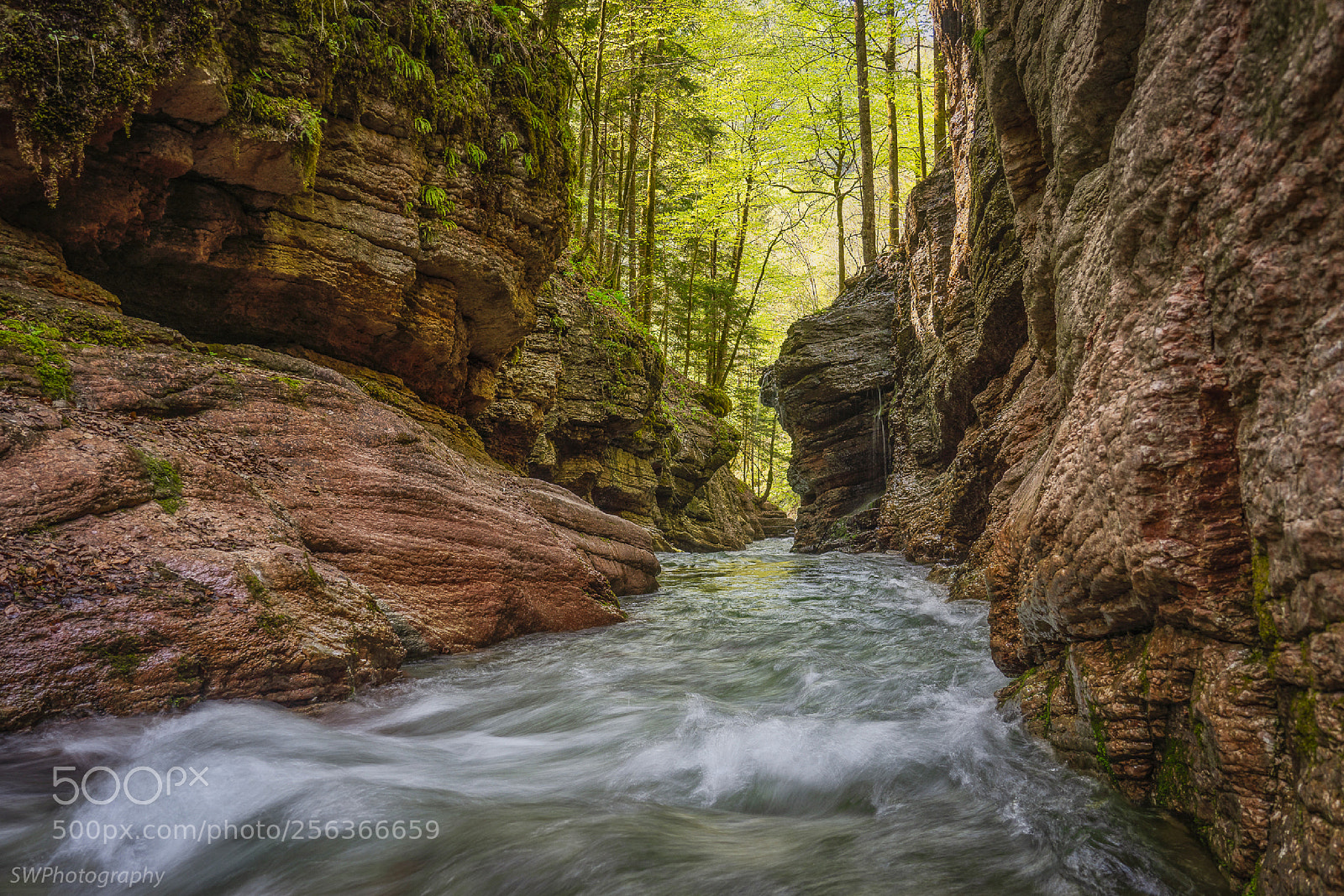 Sony a7R III sample photo. Davidgraben photography