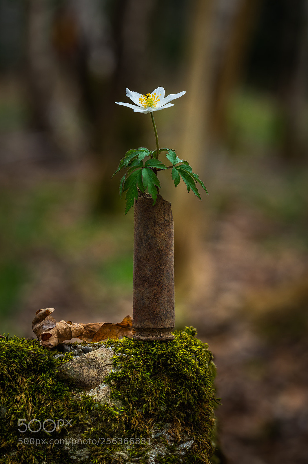 Pentax K-3 II sample photo. Swords to plowshares photography