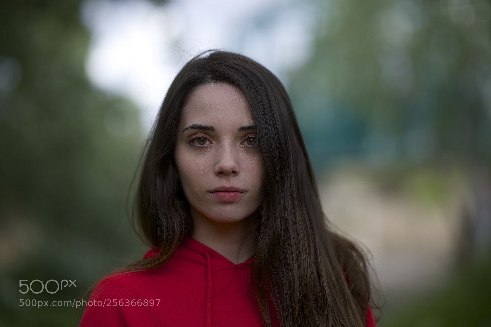 Nikon Df sample photo. Puente verde iv photography
