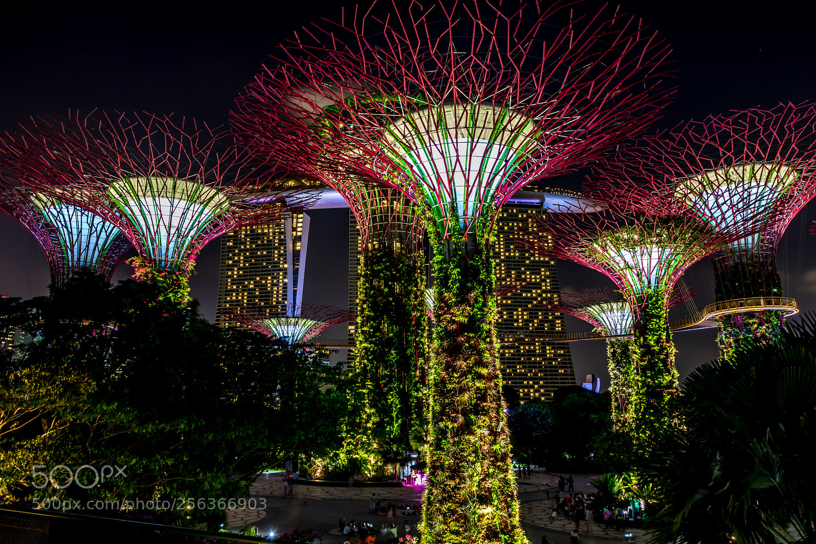 Canon EOS 750D (EOS Rebel T6i / EOS Kiss X8i) sample photo. Supertree grove at gardens photography