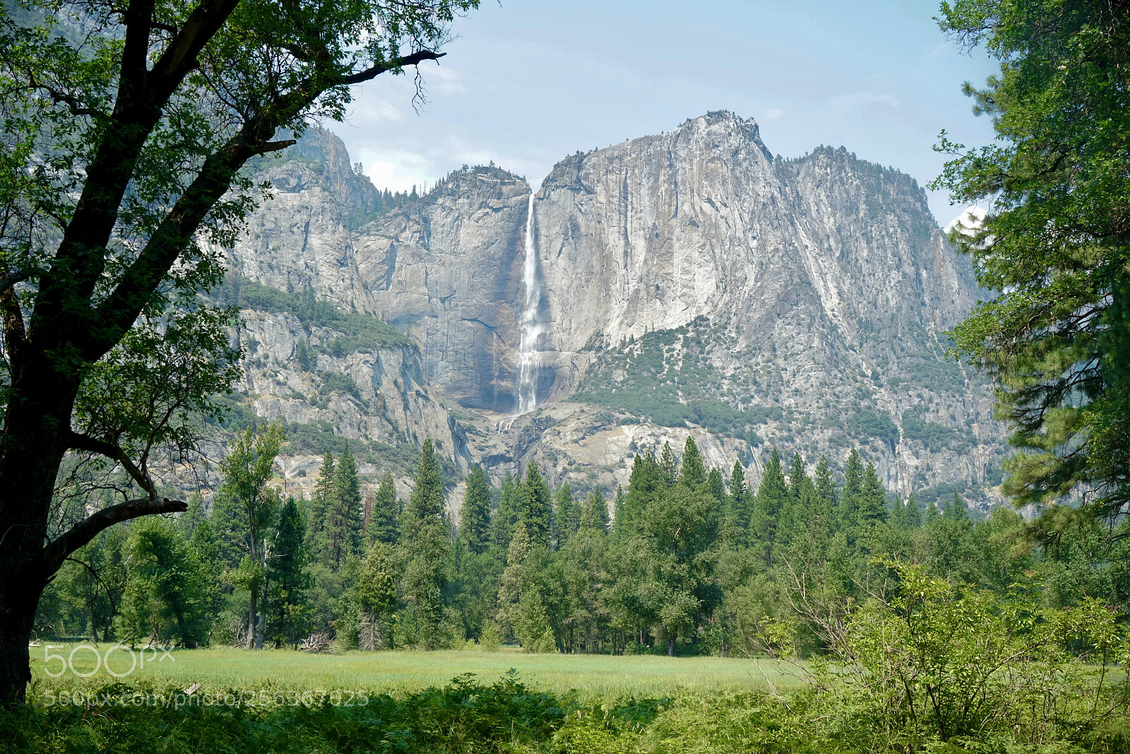 Sony a7R II sample photo. Yosemite  photography
