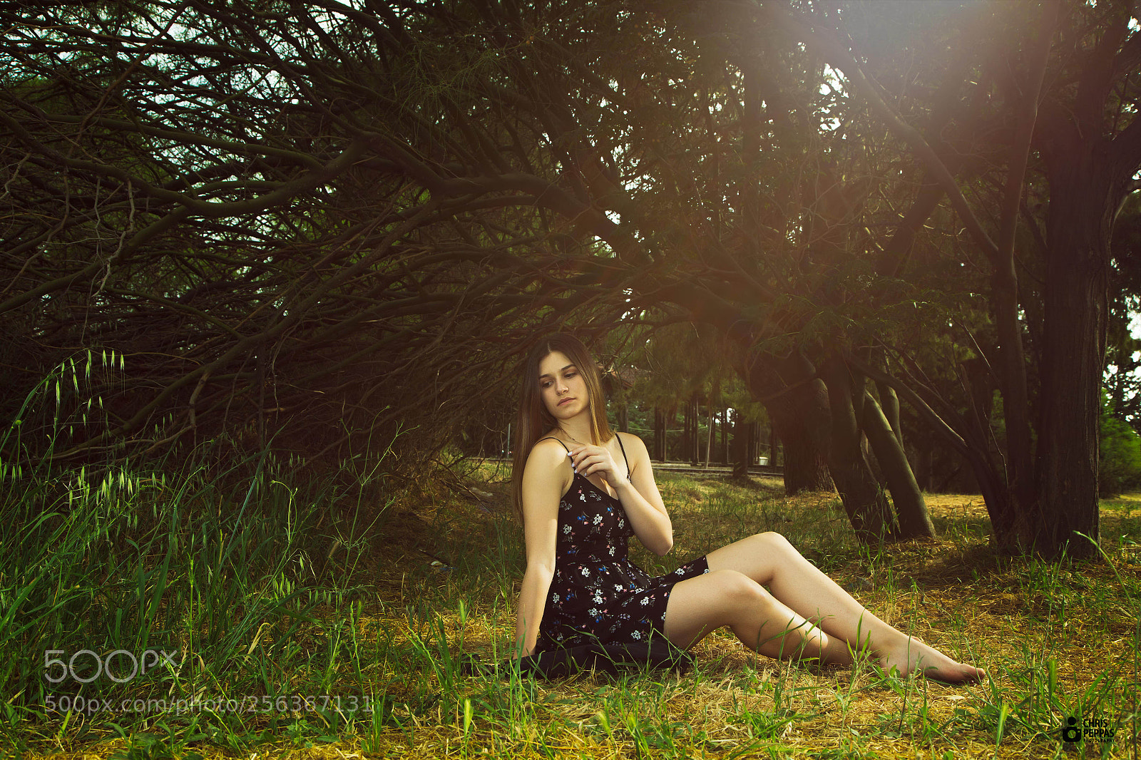 Canon EOS 6D sample photo. Fairytale photography