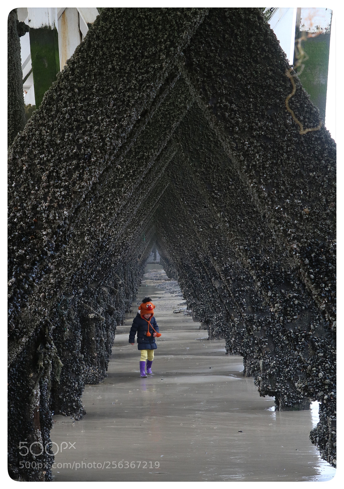 Canon EOS 750D (EOS Rebel T6i / EOS Kiss X8i) sample photo. Under the pier photography