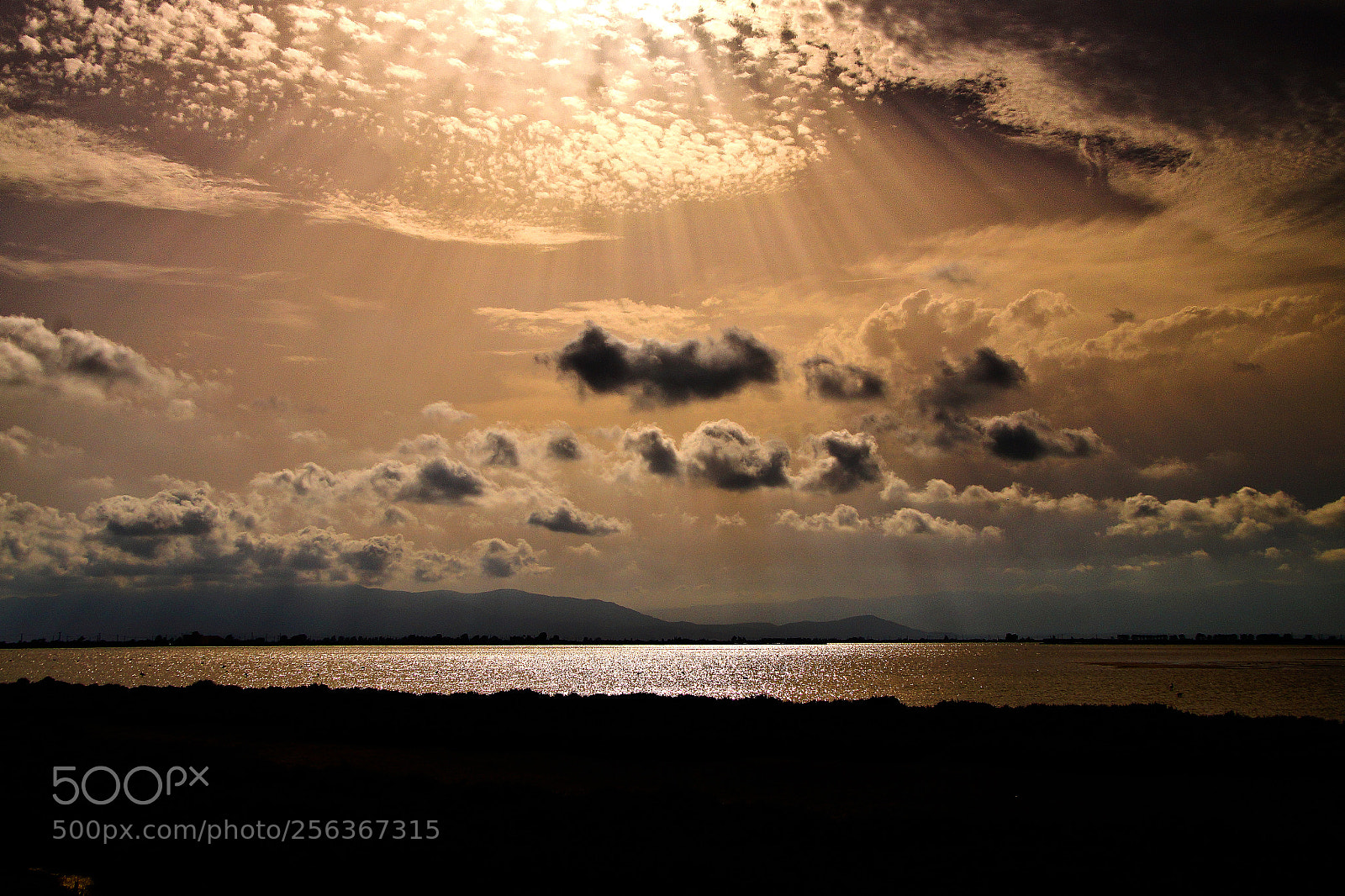 Sony SLT-A58 sample photo. Punta de la banya photography