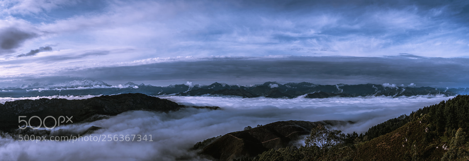 Nikon D500 sample photo. Por encima de las photography
