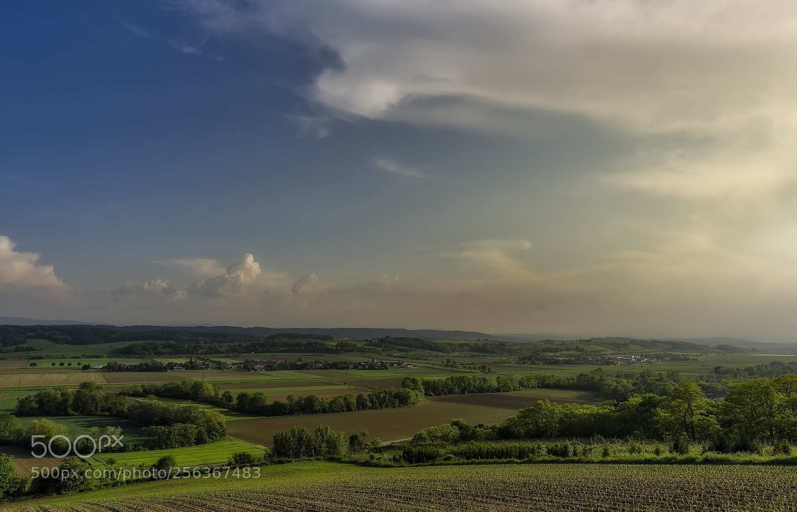 Nikon D810 sample photo. Calm evening photography
