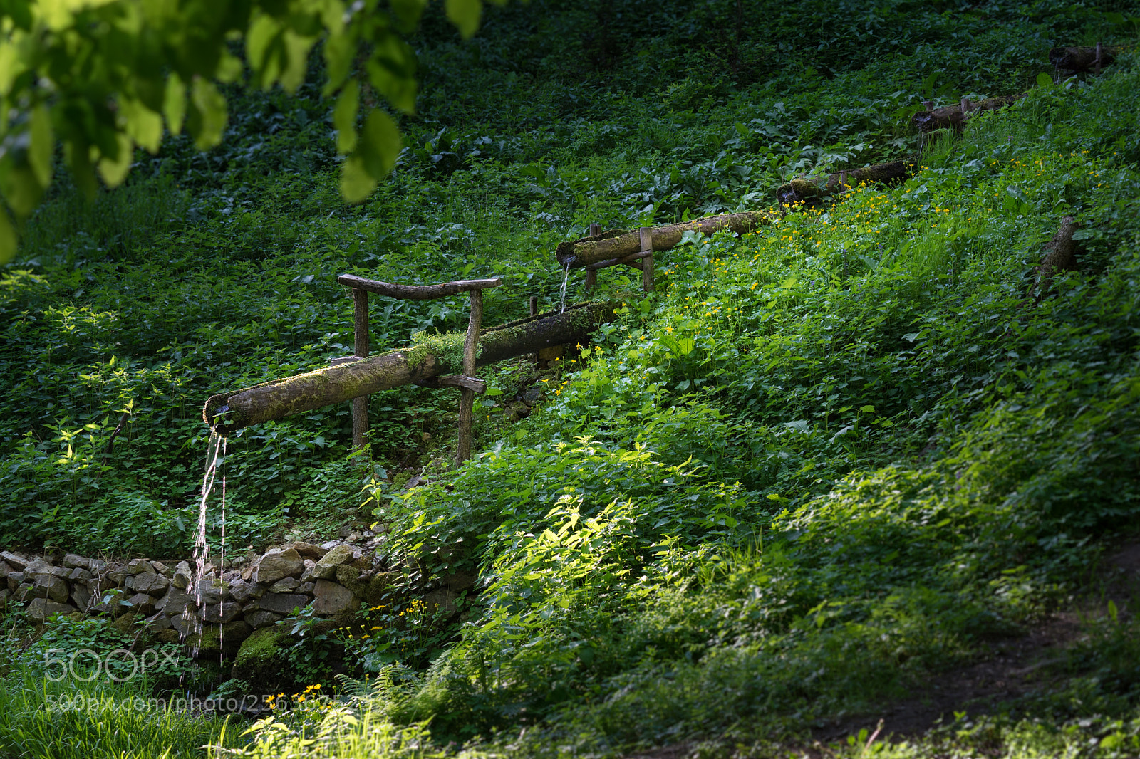 Sony a7 II sample photo. Cascade photography