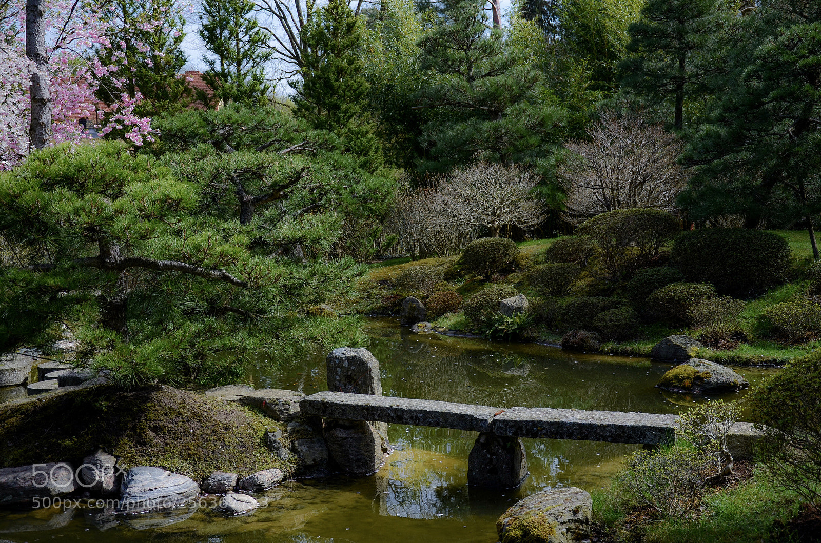 Nikon D7000 sample photo. Japanese garden photography