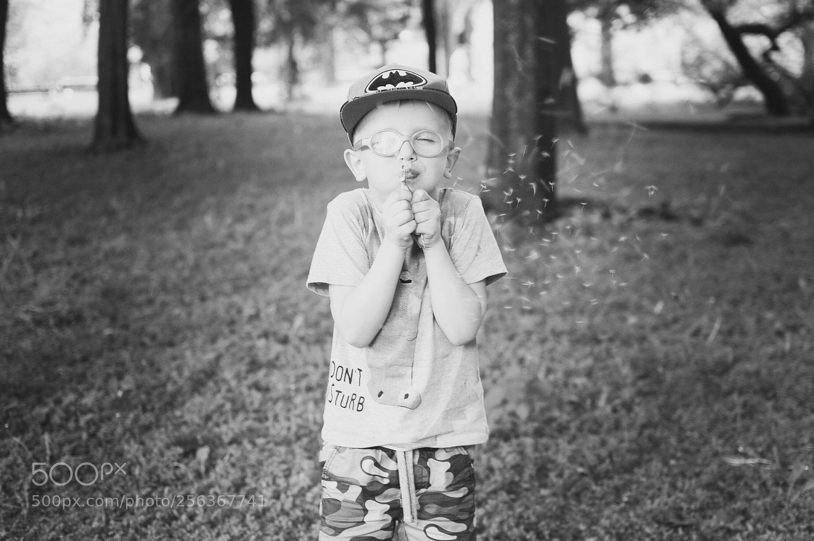 Nikon D300S sample photo. Untitled photography
