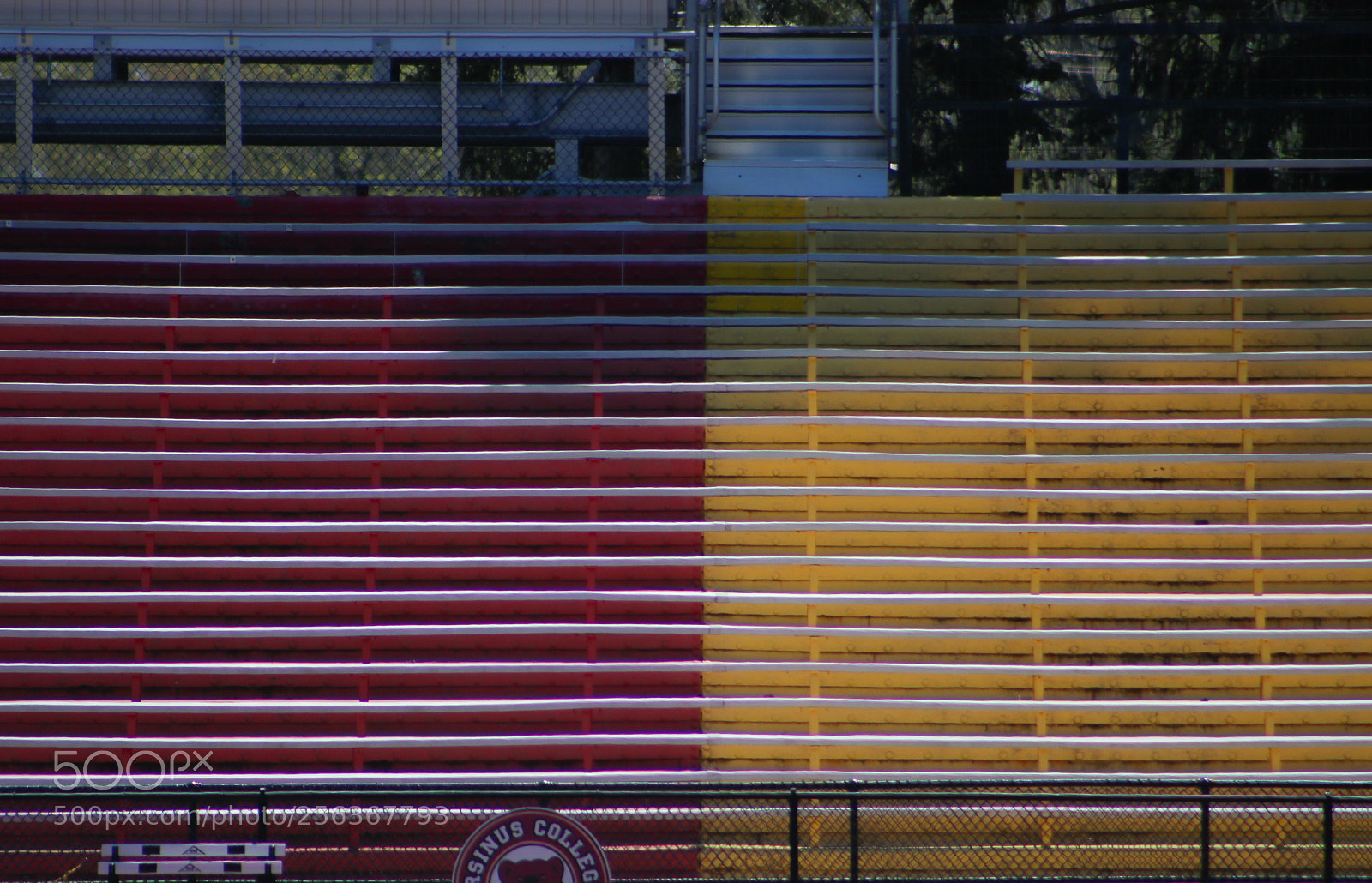 Canon EOS 750D (EOS Rebel T6i / EOS Kiss X8i) sample photo. Bleachers photography