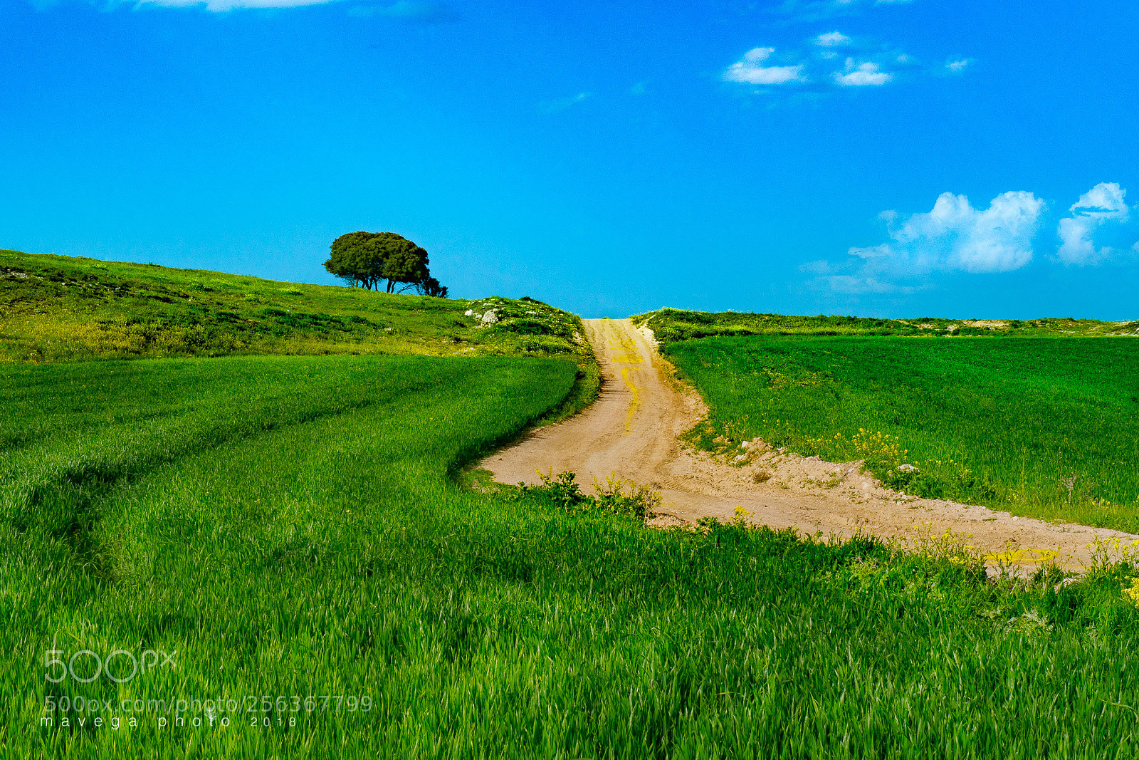 Sony a6300 sample photo. Blue over green photography