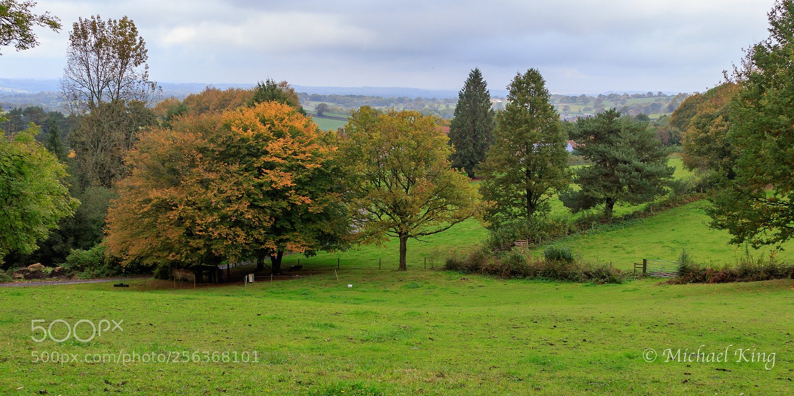 Canon EOS 7D Mark II sample photo. Dorset view. photography