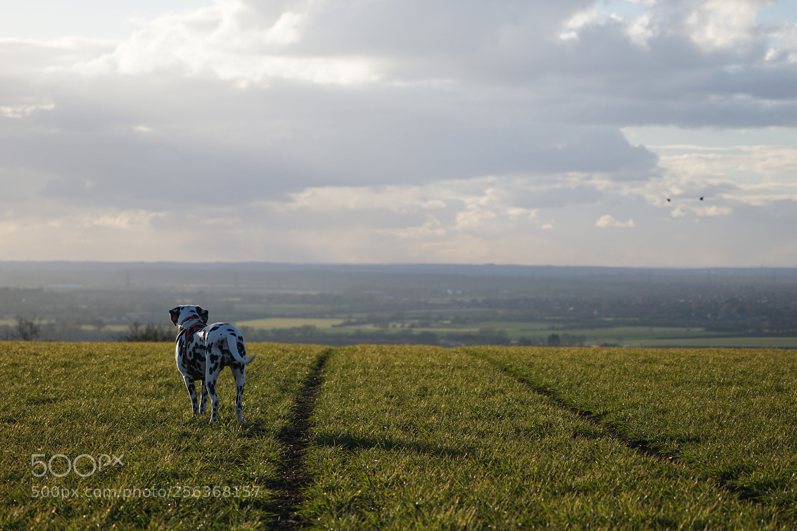 Sony a6000 sample photo. Zu's view photography